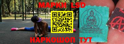 гидропоника Краснознаменск