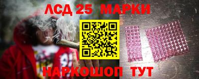 гидропоника Краснознаменск