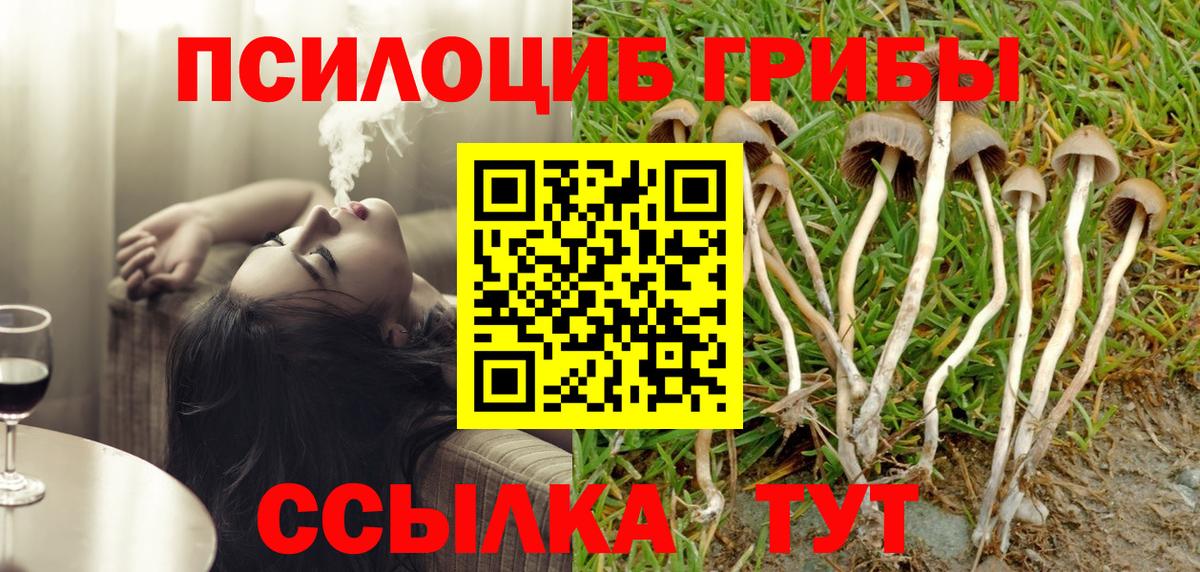 Галлюциногенные грибы мицелий  Вход с VPN  дарнет шоп  Краснодар 